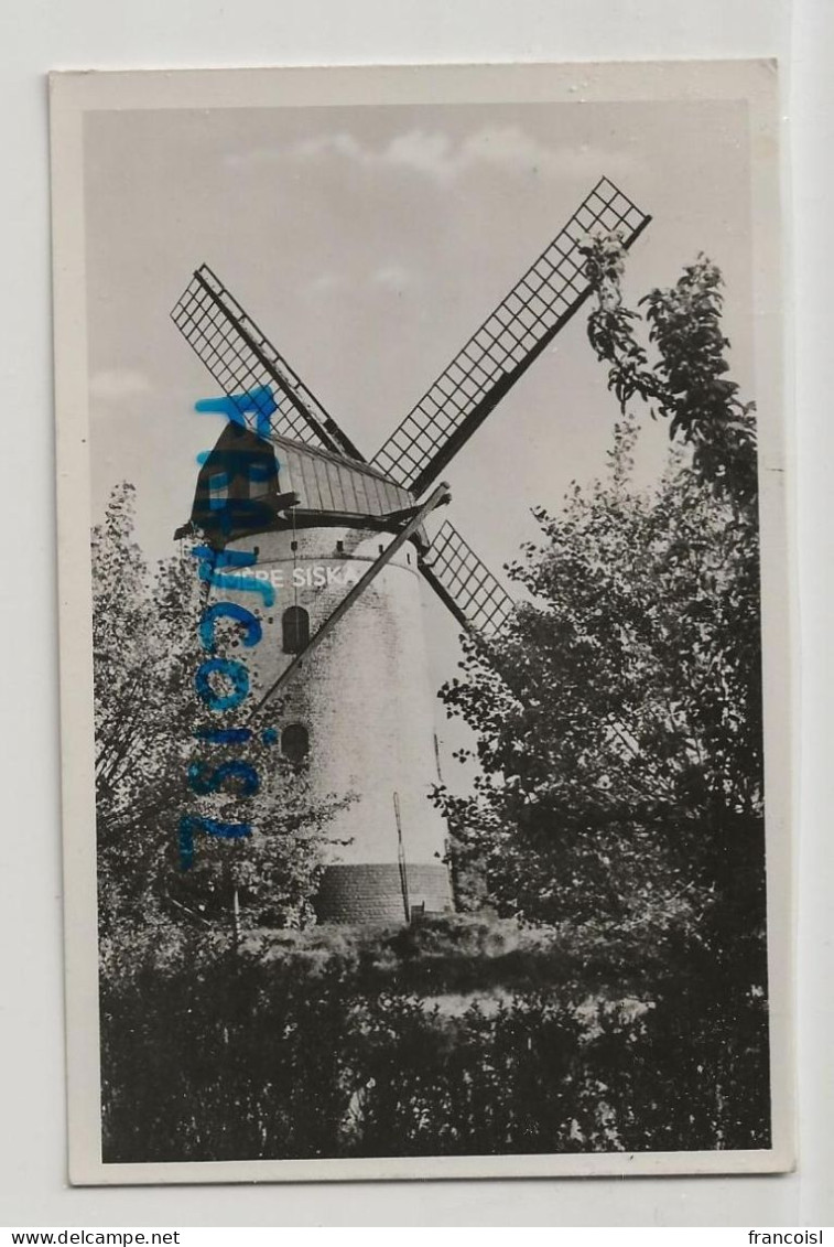 Côte Belge. Le Zoute. Le Moulin. Ancienne Maison Mère Siska. Glacée. 1956 - Knokke