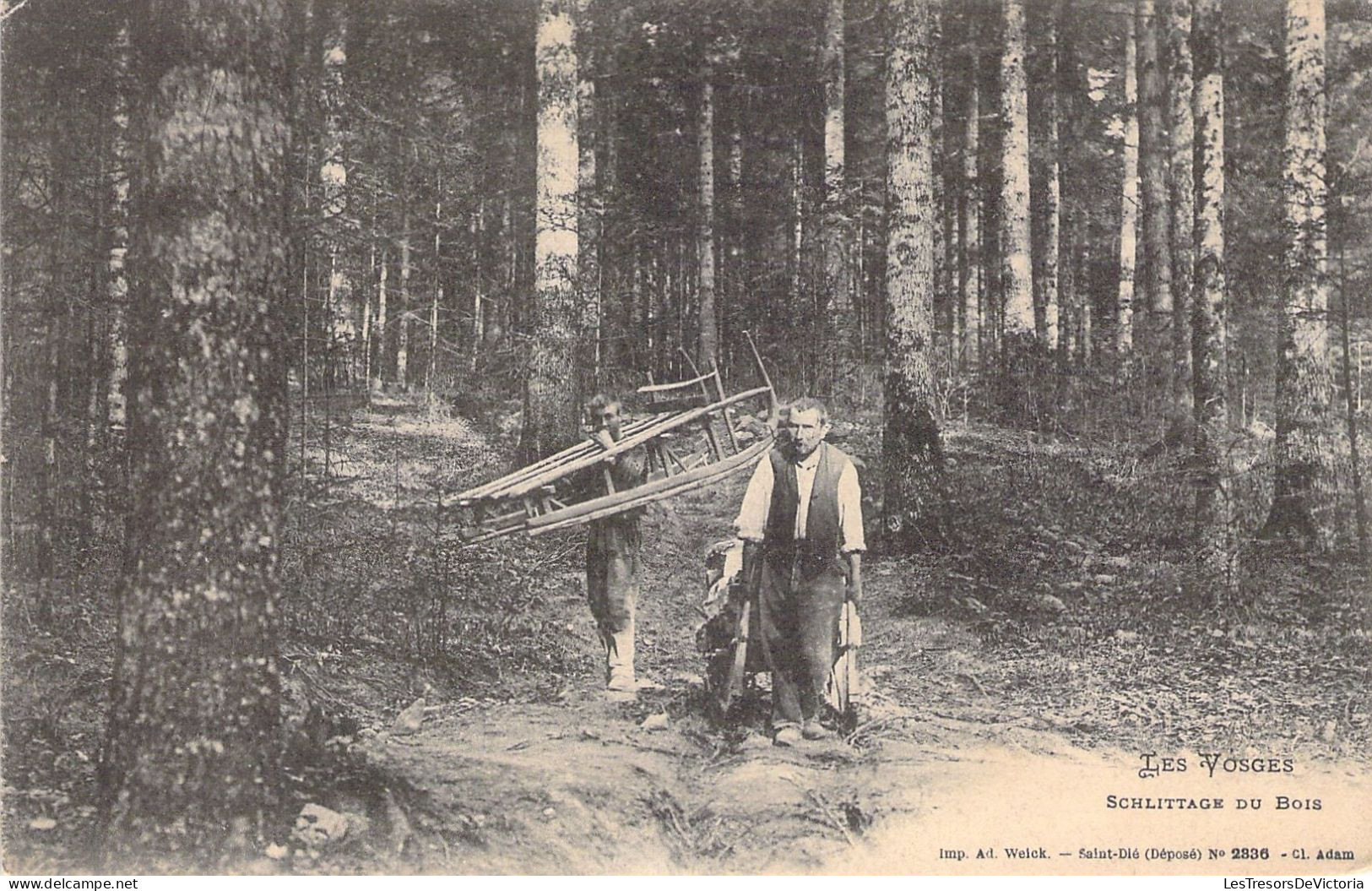 FOLKLORE - Costume - SCHLITTAGE Du Bois - Carte Postale Ancienne - Costumes