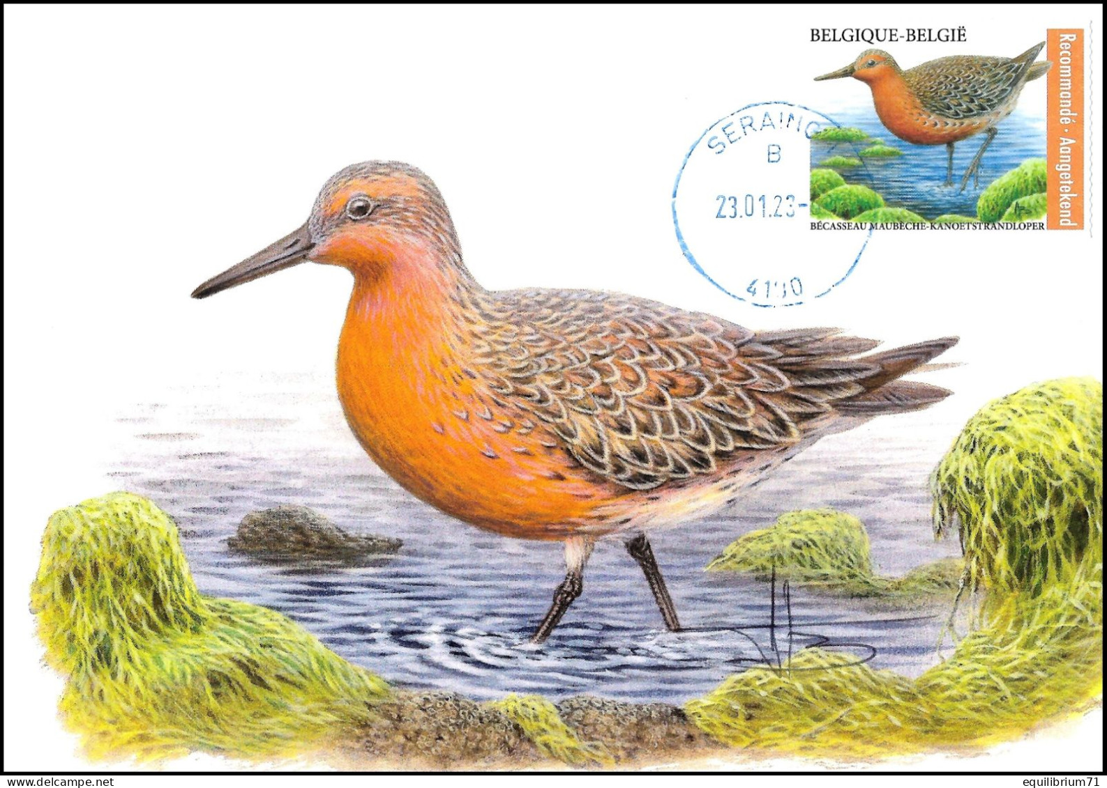 CM/MK-FDC-5147°(B181/C181) - Bécasseau Maubèche/Knoetstrandloper - Seraing - SIGNÉ/GETEKEND - BUZIN - RR - 2011-..