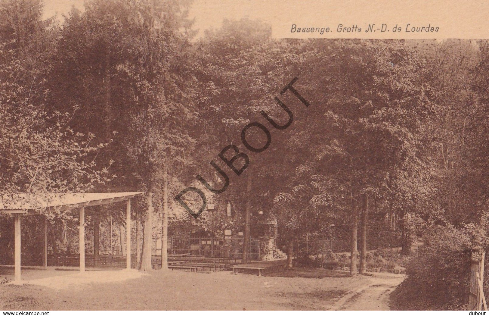 Postkaart/Carte Postale - Bassenge - Grotte N-D De Lourdes (C4030) - Bassenge