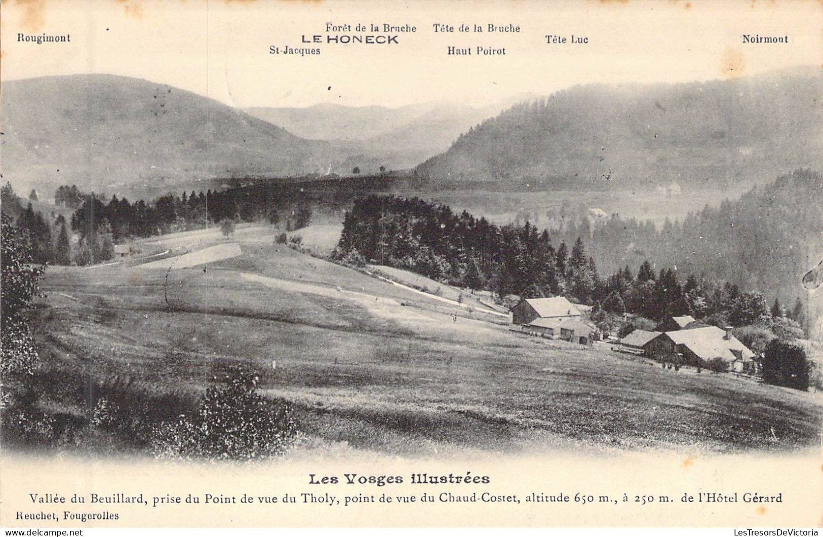 FRANCE - 88 - LE HONECK - Vallée Du Brouillard Prise Du Point De Vue Du Tholy - Carte Postale Ancienne - Andere & Zonder Classificatie