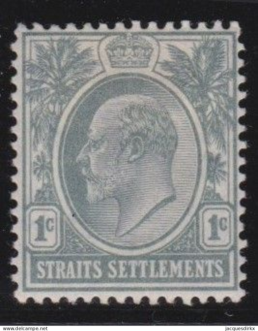 Straits Settlements        .   SG    .   127     .      *          .      Mint-hinged - Straits Settlements