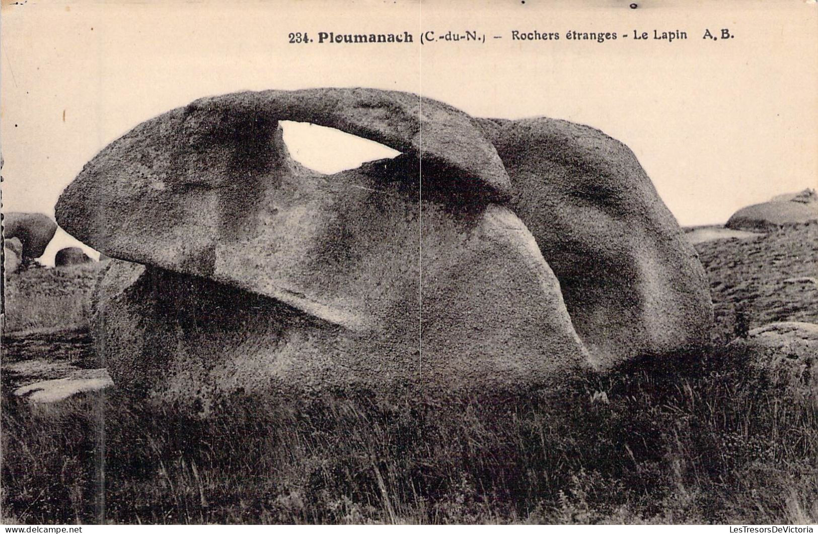 FRANCE - 22 - PLOUMANACH - Rochers étranges - Le Lapin - A B - Carte Postale Ancienne - Ploumanac'h