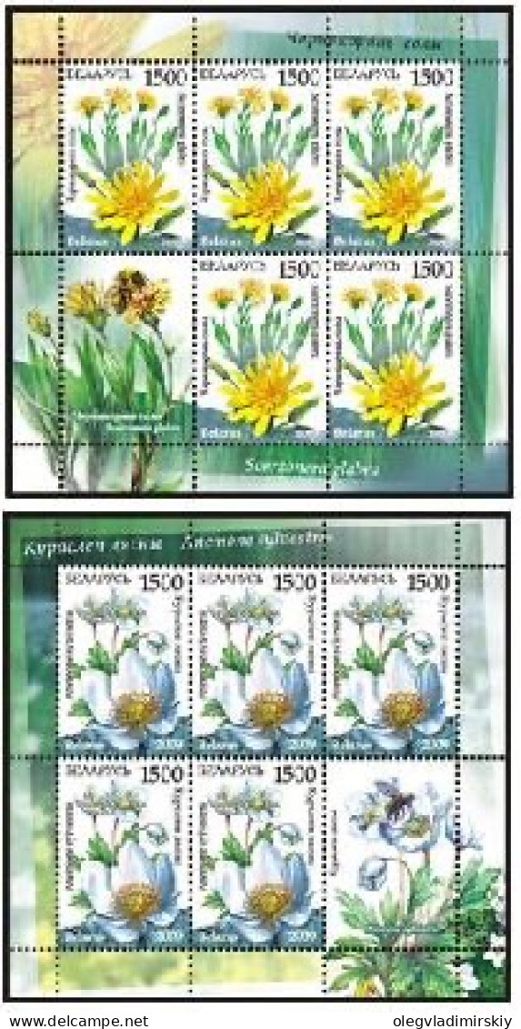 Belarus Belorussia Weissrussland 2009 Spring Flowers Bees Set Of 2 Sheetlets With Labels Mint - Abeilles