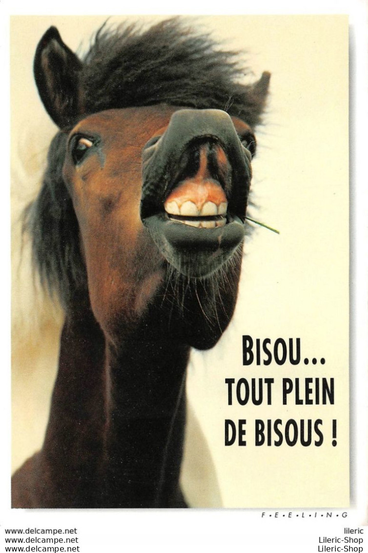 CPM HUMOUR COMIC " BISOU... TOUT PLEIN DE BISOUS ! " # CHEVAL # HORSE #  PFERD # CAVALLO # PHOTO WISNIEWSKI-ZEFA - Chevaux