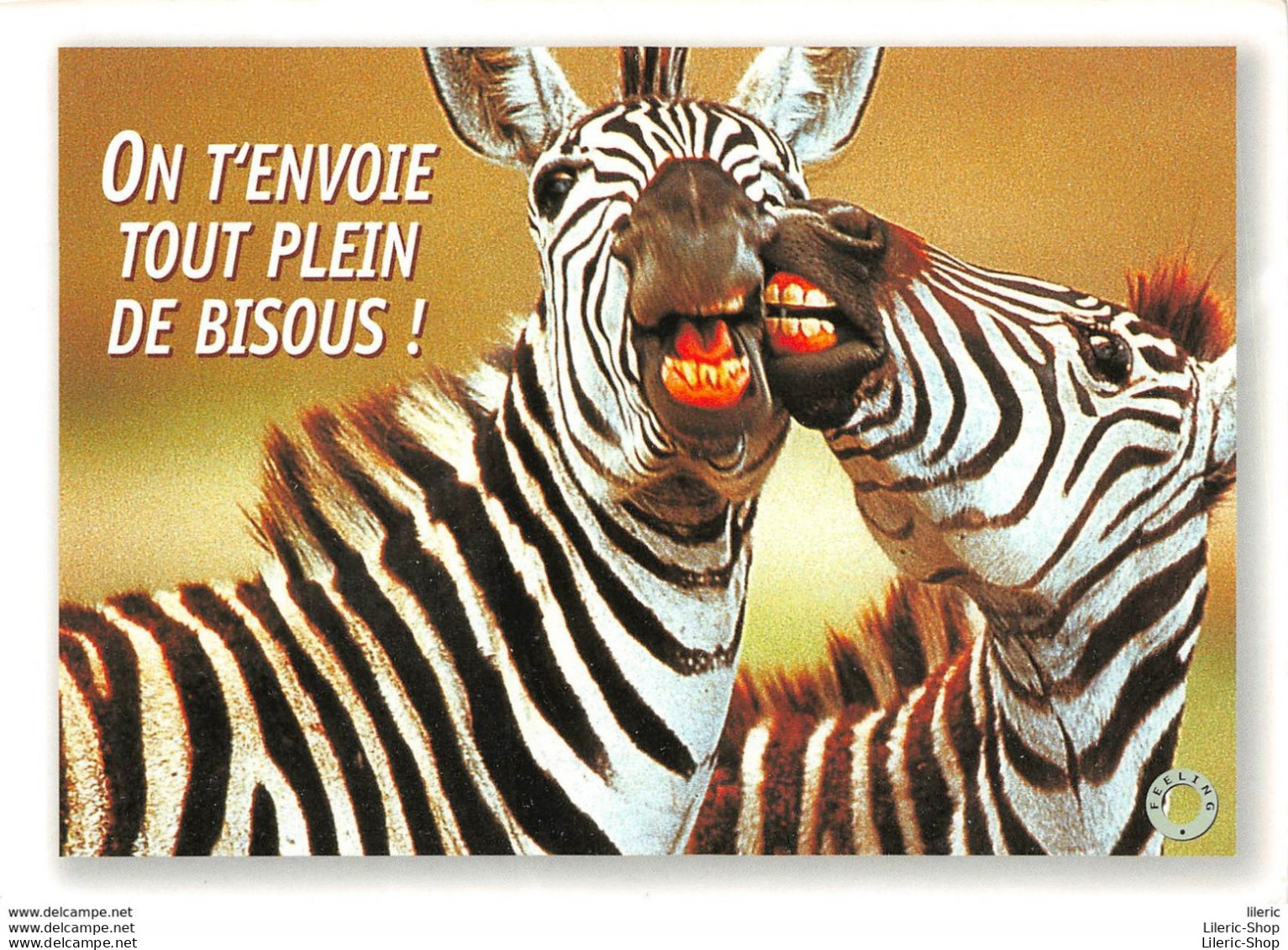 CPM HUMOUR COMIC " ON T'ENVOIE TOUT PLEIN DE BISOUS ! " # ZÈBRE # ZEBRA # - PHOTO WISNIEWSKI - Zebra's