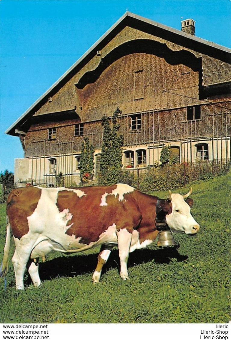 FRANCHE-COMTÉ - DOUBS " VIEILLE FERME DU CHAUFFAUD " # VACHE # COW # AGRICULTURE # CLOCHE - Bocce