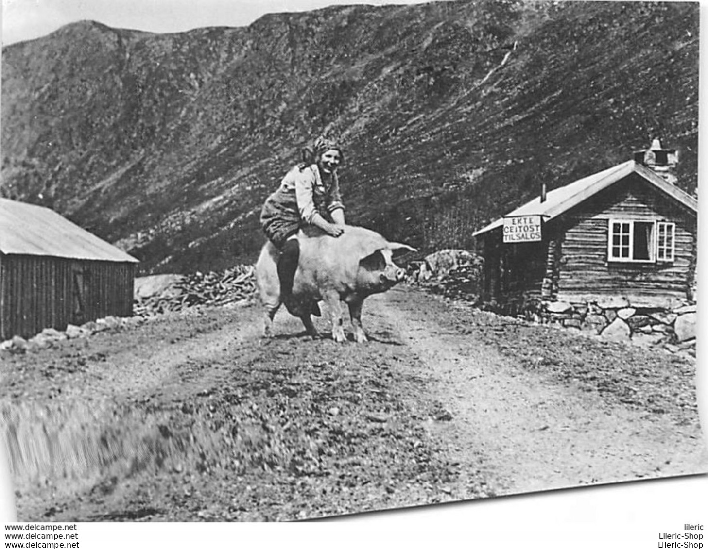 ± 1960 SETERJENTENS FRIDAG MED RIDETUR PÅ GRIS BUTIK EKTE GEITOST TIL SALGS - Foto NORMANN - Norvège