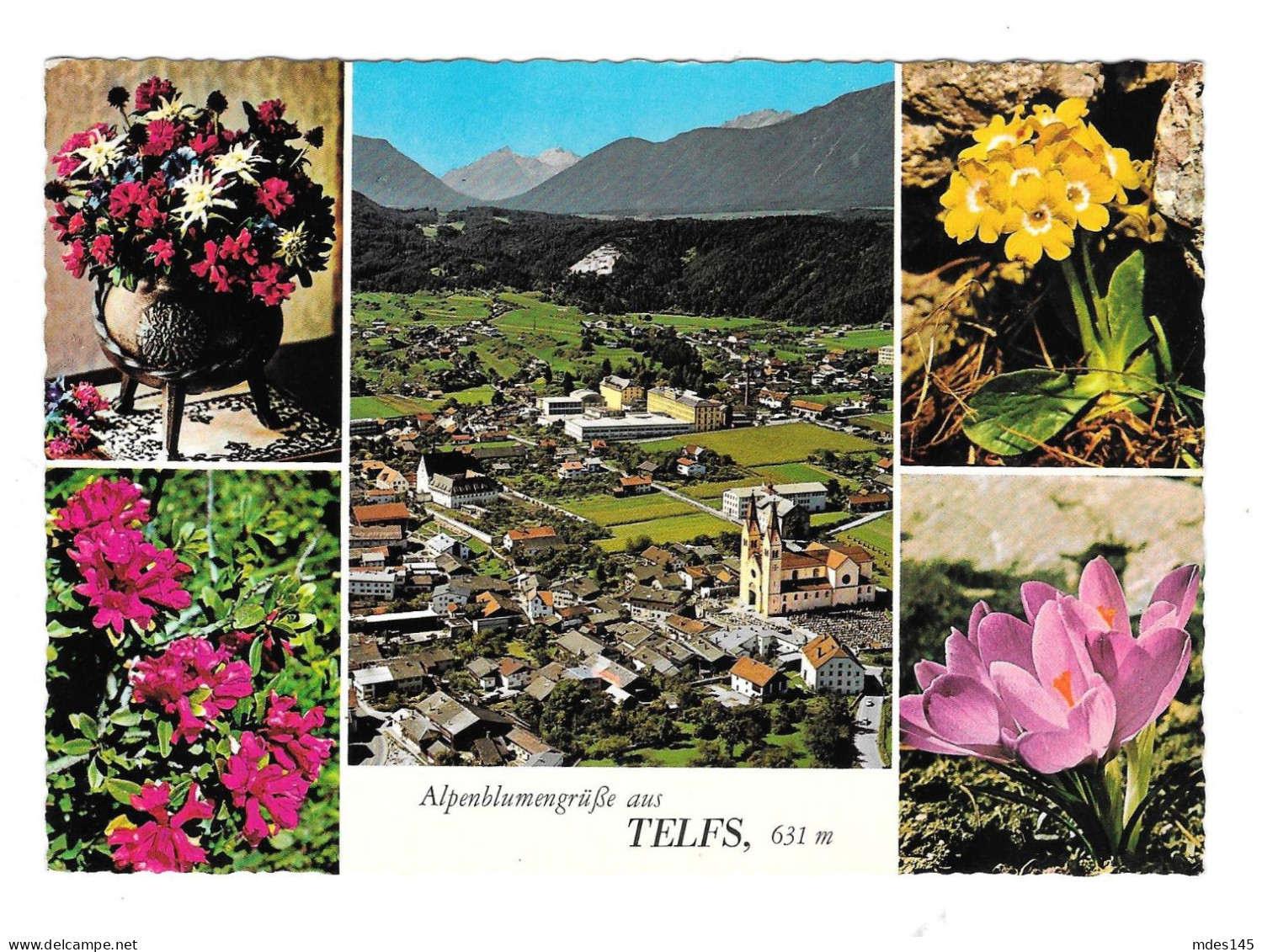 Austria Telfs Aerial View Alpenblumen Tirol Alps Flowers Multiview 4X6 Postcard - Telfs