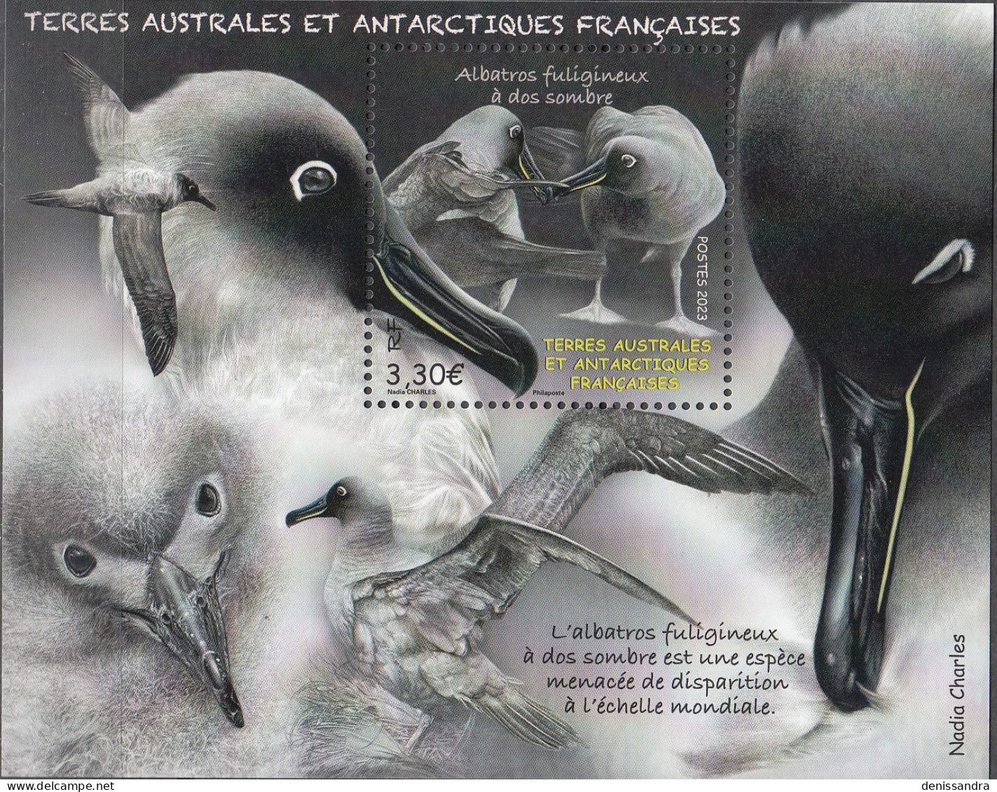 TAAF 2023 Bloc Feuillet Albatros Neuf ** - Blocs-feuillets