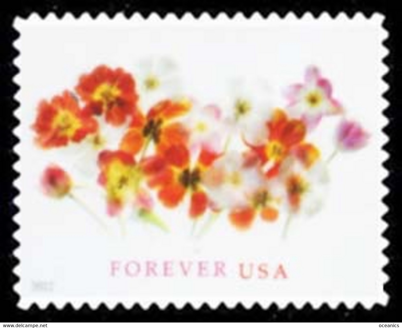 Etats-Unis / United States (Scott No.5681 - Tulips) [**] MNH - Nuovi