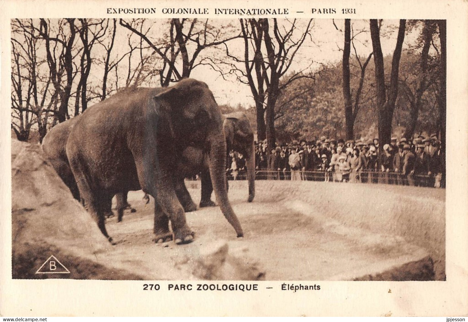 ANIMAUX - ELEPHANTS - EXPOSITION COLONIALE PARIS 1931 - PARC ZOOLOGIQUE - Éléphants