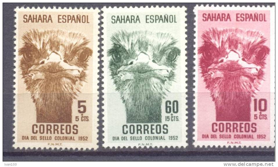 1952. Spain Sahara, Ostrich, 3v, Mint/** - Avestruces