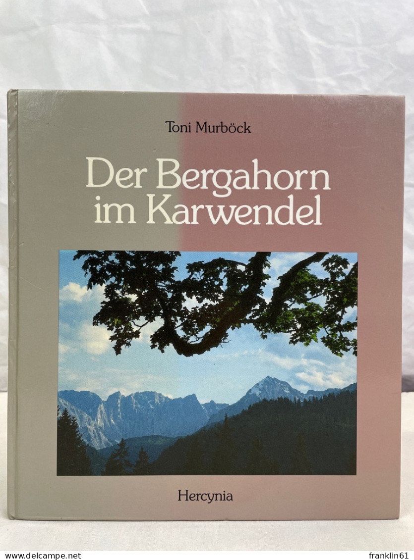 Der Bergahorn Im Karwendel. - Tierwelt