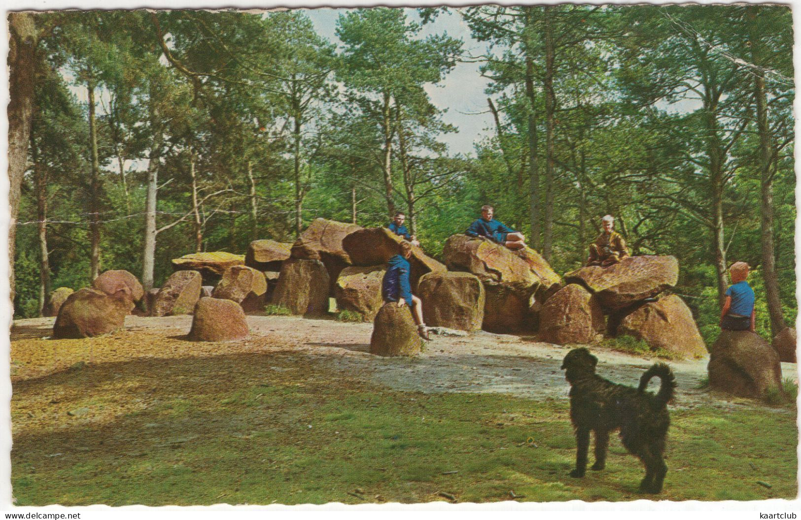 Hunebed Emmerdennen - (Drenthe, Nederland/Holland) - 1968 - Dolmen, Hond/Chien - Emmen