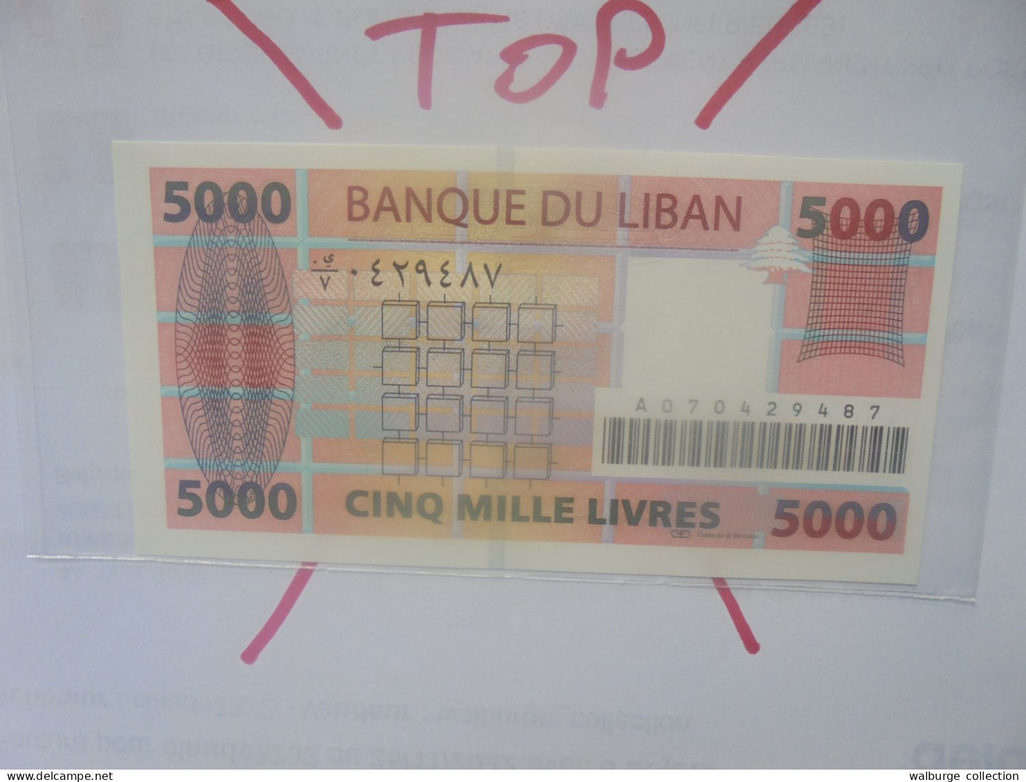 LIBAN 5000 LIVRES 2001 NEUF (B.29) - Liban