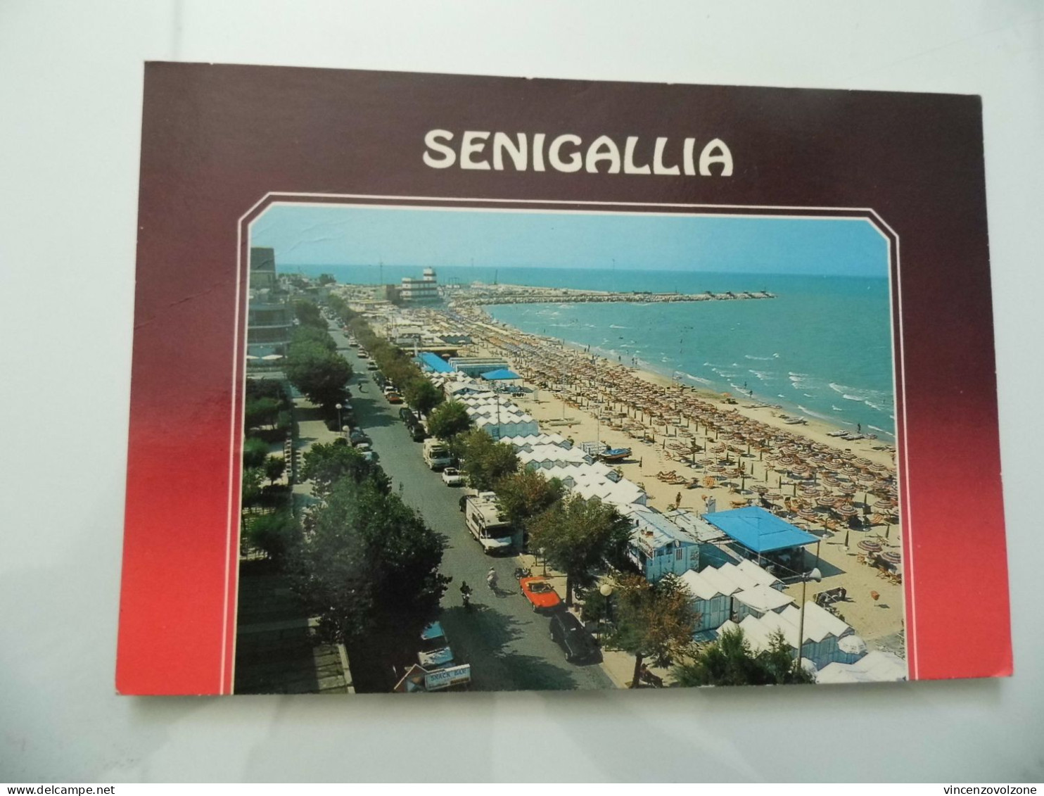 Cartolina Viaggiata "SENIGALLIA" 1992 - Senigallia