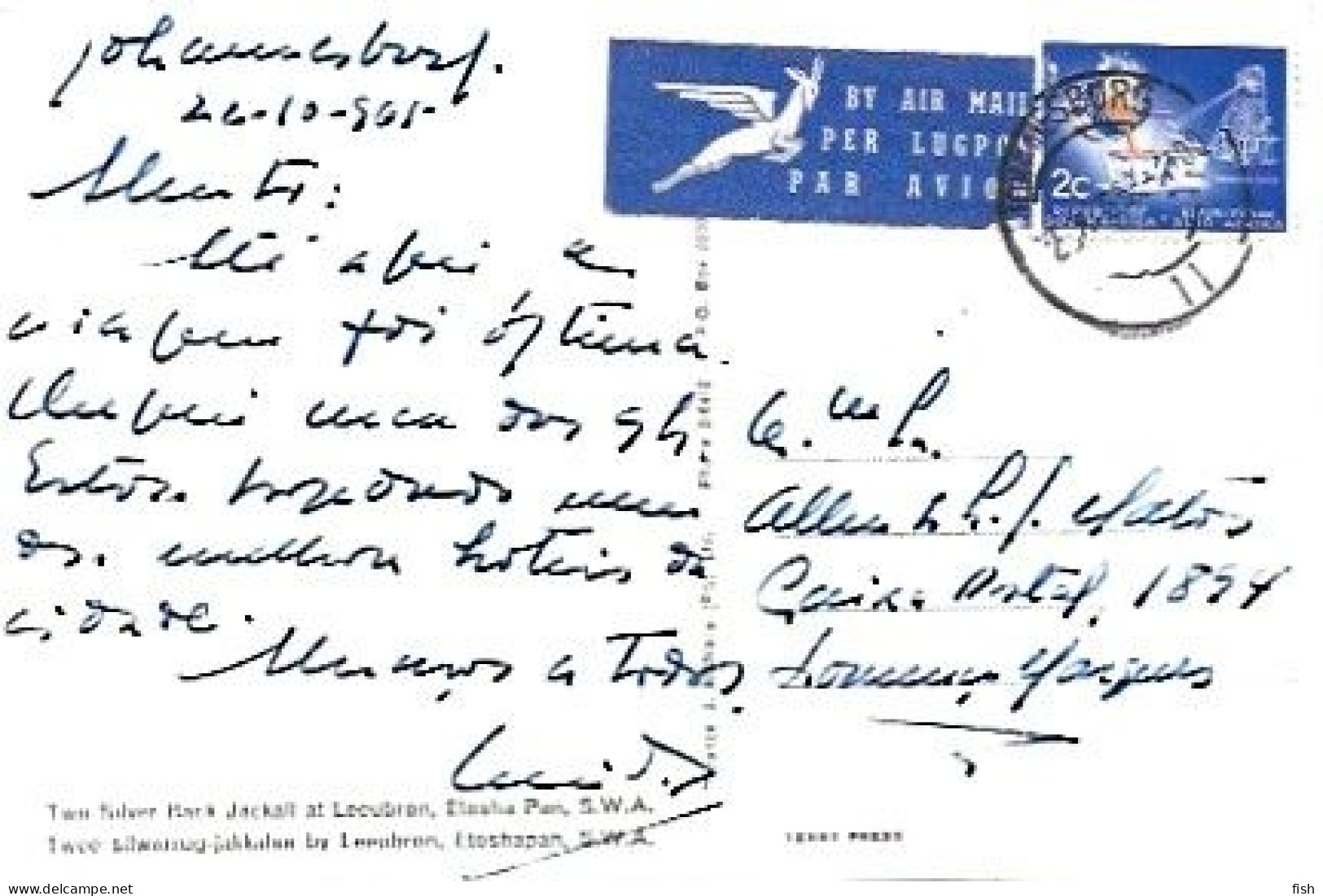 South Africa & Marcofilia, Two Silver Back Jackall At Leeubron, Johanesburgo To Lourenço Marques, Mozambique 1961 (78) - Brieven En Documenten