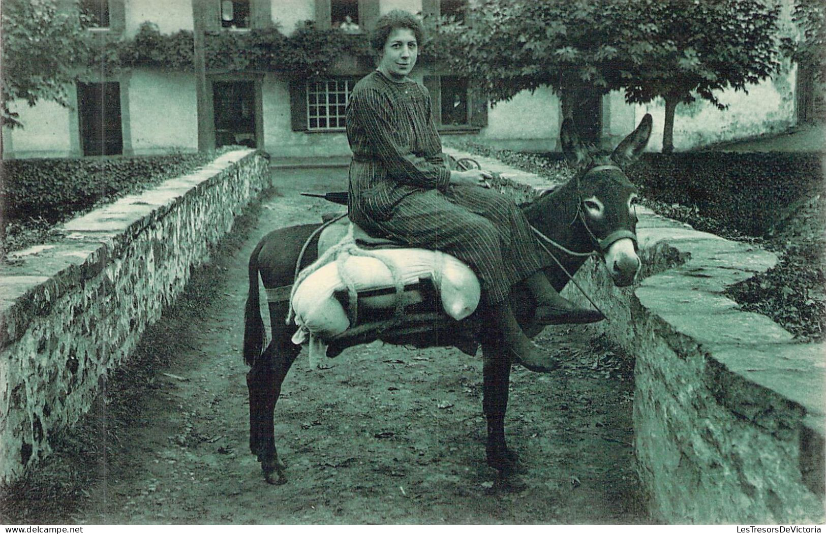 FRANCE - 64 - Pay Basque - Monture De Meunière - M D - Carte Postale Ancienne - Autres & Non Classés