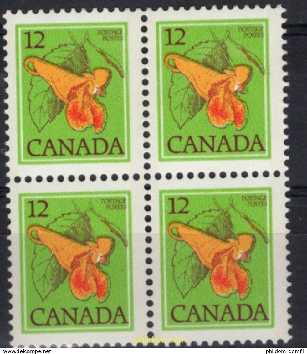 700990 MNH CANADA 1978 FLOR - Otros & Sin Clasificación