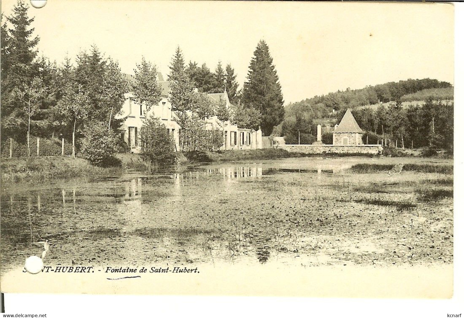 CP De SAINT-HUBERT " Fontaine De Saint-Hubert " - Saint-Hubert