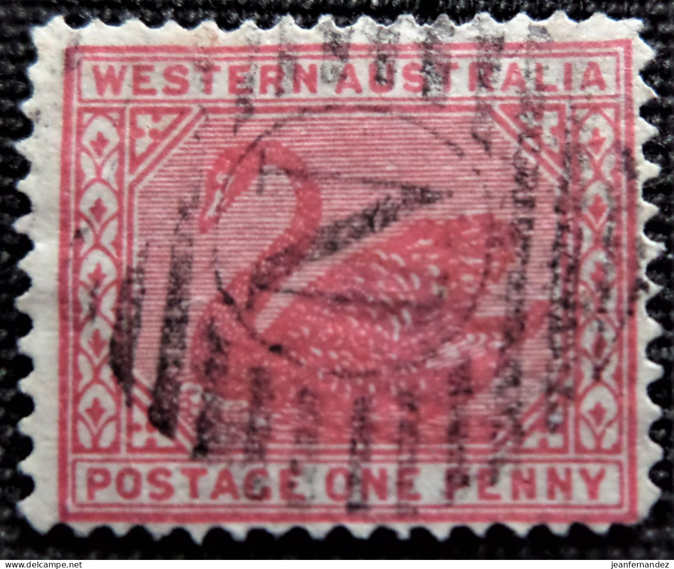 Australie  Western Australia 1902 -1905 Black Swan Stampworld N° 49 - Usados