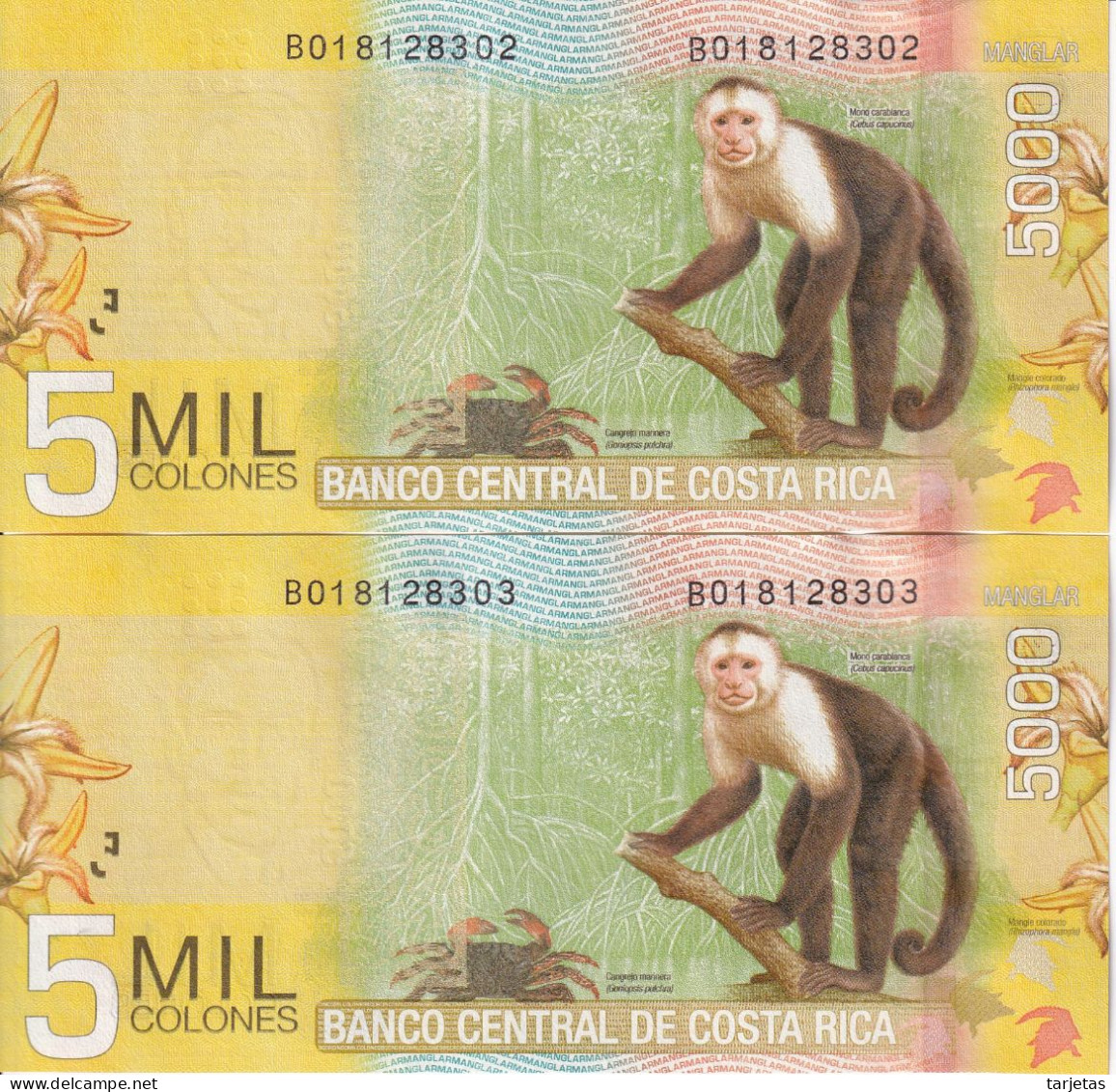 PAREJA CORRELATIVA DE COSTA RICA DE 5000 COLONES DEL AÑO 2012 SIN CIRCULAR (UNC) (MONO-MONKEY)  (BANKNOTE) - Costa Rica