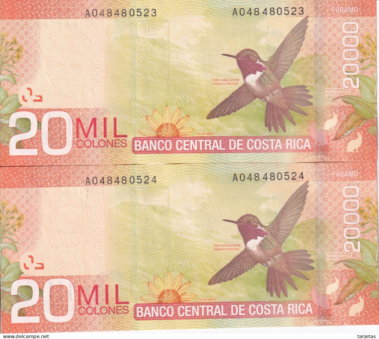 PAREJA CORRELATIVA DE COSTA RICA DE 20000 COLONES DEL AÑO 2012 SIN CIRCULAR (UNC) (COLIBRI)  (BANKNOTE) - Costa Rica