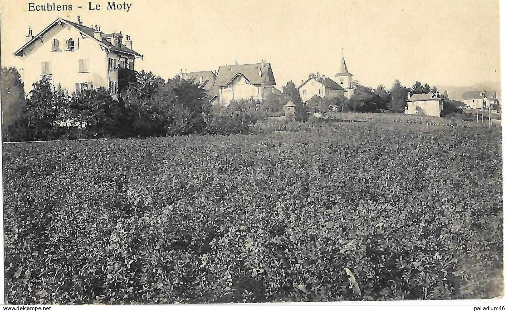 VAUD - ECUBLENS LE MOTY  - E. Steiner Lausanne No 5082 - Pas Circulé - Écublens