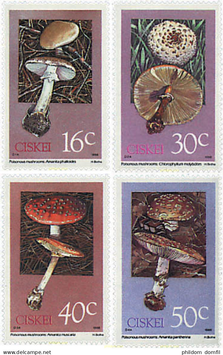 34523 MNH CISKEI 1988 SETAS - Ciskei