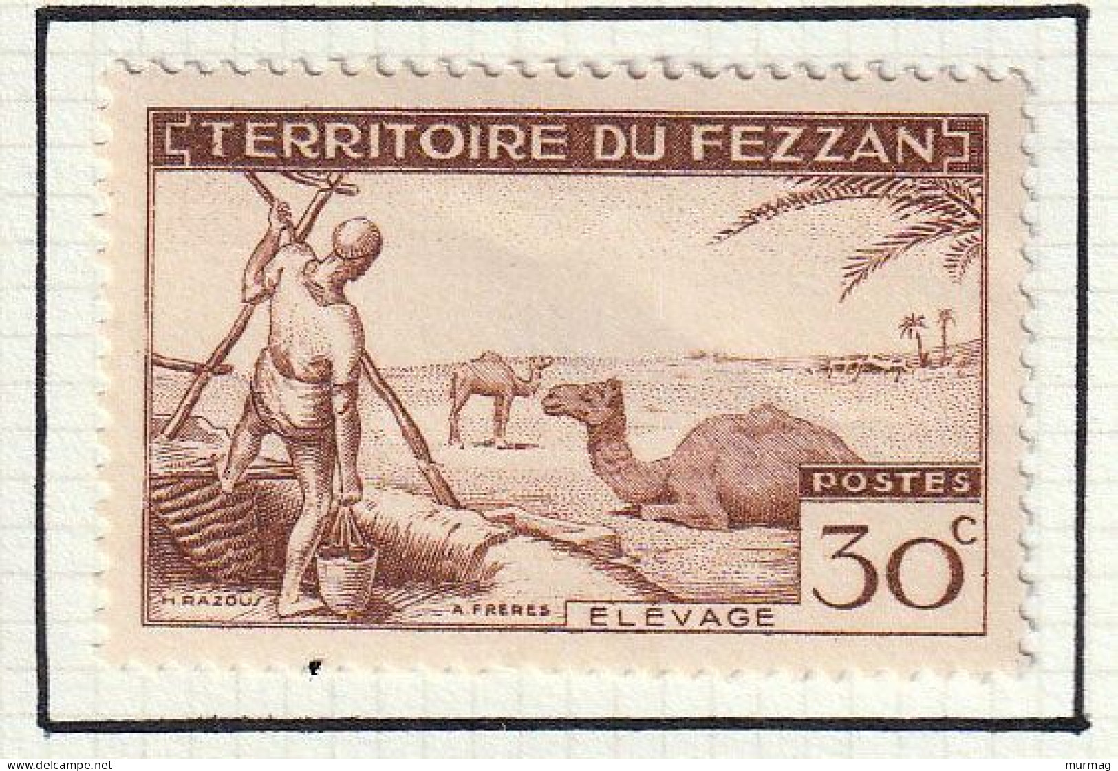 FEZZAN - Elevage, Chameaux - Y&T N° 56 - 1951 - MH - Unused Stamps