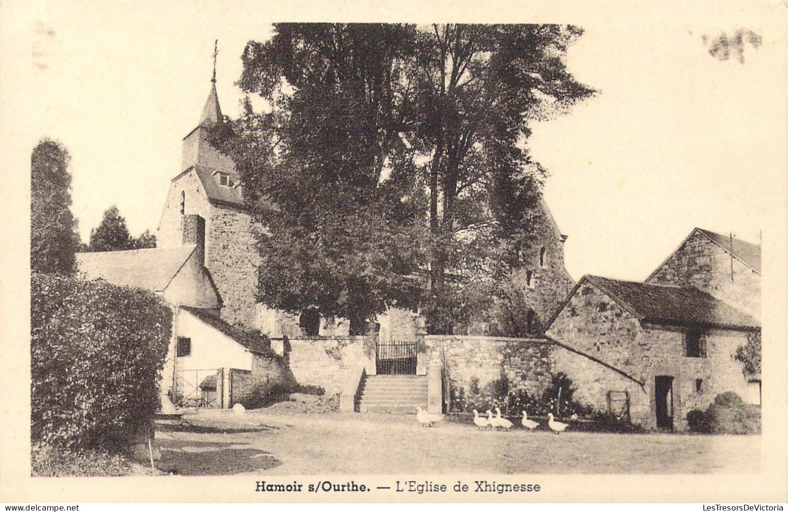 BELGIQUE - Hamoir Sur Ourthe - L'Eglise De Xhignesse - Carte Postale Ancienne - Hamoir