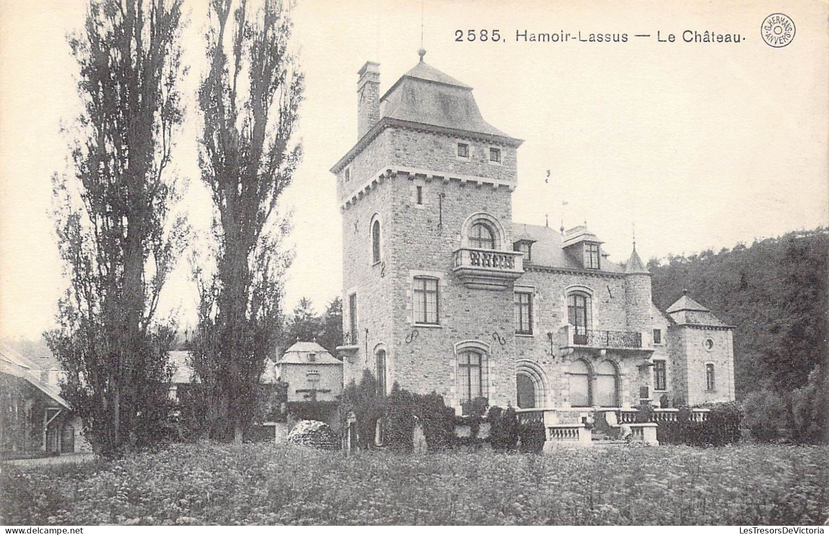 BELGIQUE - Hamoir-Lassus - Le Château - Carte Postale Ancienne - Hamoir