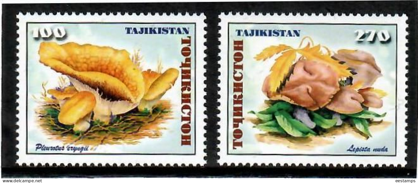 Tajikistan 1999 . Mushrooms . 2v. Michel #  163-64 - Tadjikistan