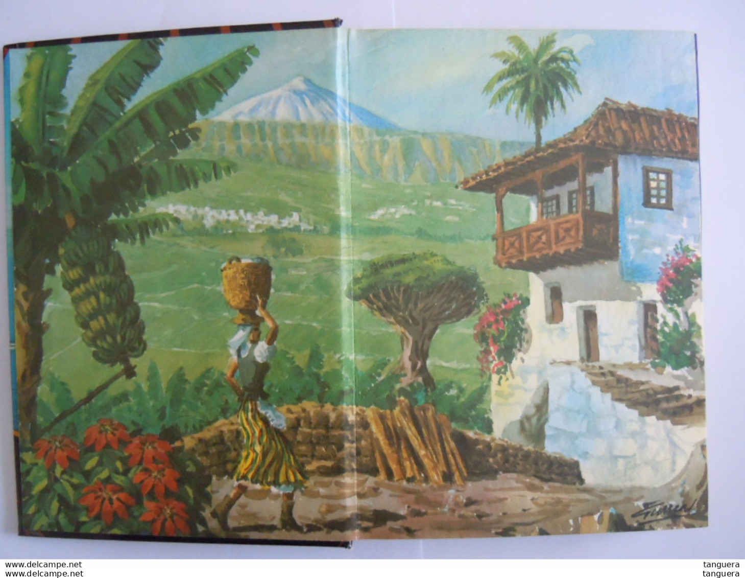Tenerife Gids En Souvenir 1971 Tekst C.N. Perez Vertaald Uit Het Spaans - Sachbücher