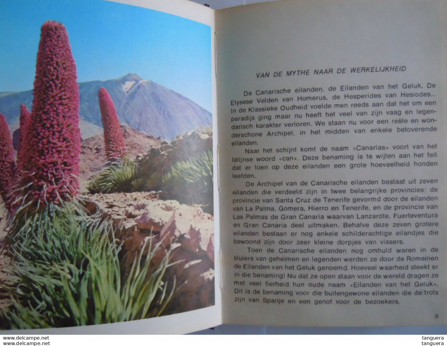 Tenerife Gids En Souvenir 1971 Tekst C.N. Perez Vertaald Uit Het Spaans - Pratique