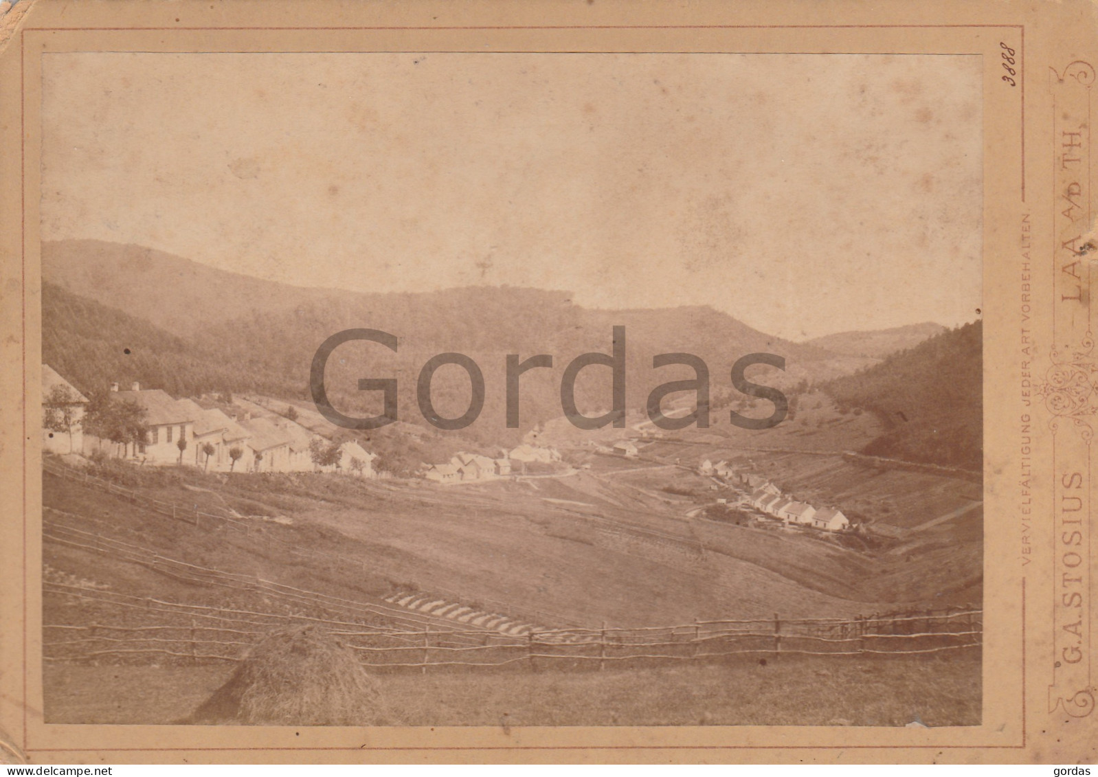 Austria - Laa An Der Thaya - Photo G.A. Stosius - Cselnik - Photo 165x115mm - Laa An Der Thaya