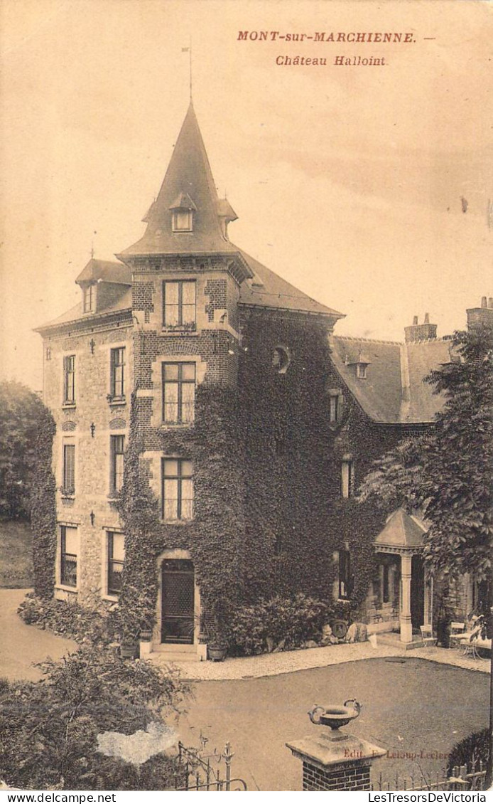 BELGIQUE - MONT SUR MARCHIENNE - Château Halloint - Carte Postale Ancienne - Andere & Zonder Classificatie