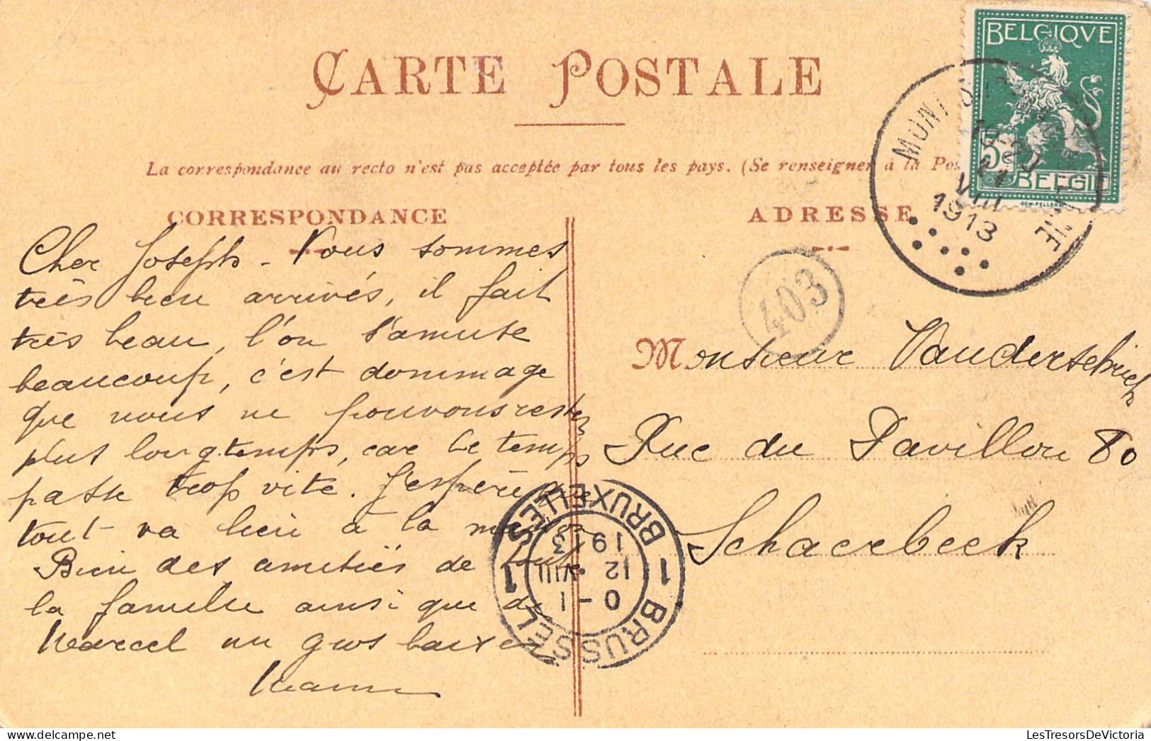 BELGIQUE - MONT SUR MARCHIENNE - Château Halloint - Carte Postale Ancienne - Andere & Zonder Classificatie