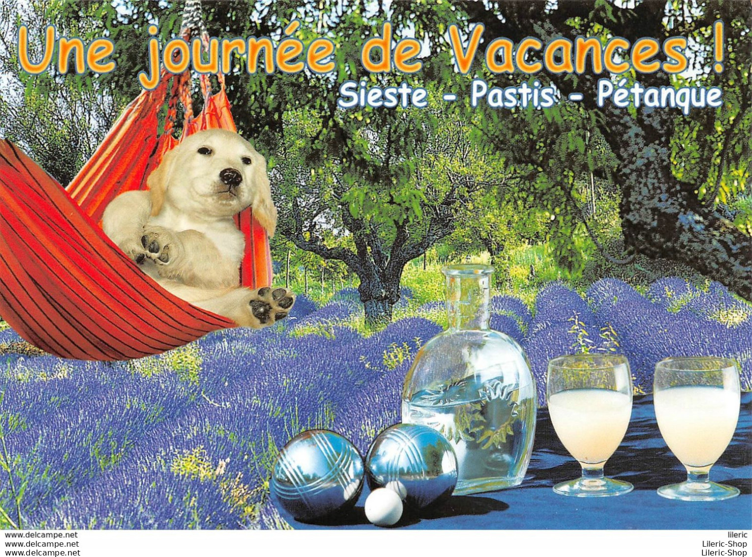 CHIEN DOG # APÉRO # HUMOUR - UNE JOURNÉE DE VACANCES ! SIESTE - PASTIS - PÉTANQUE. - Bowls