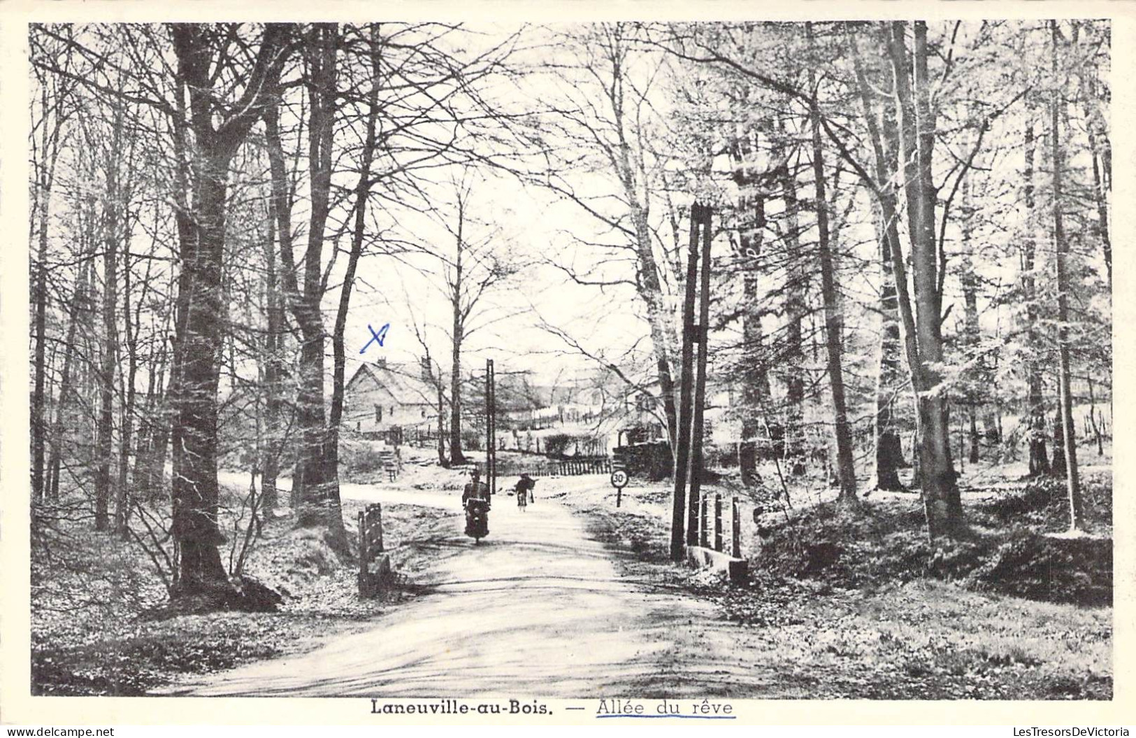 BELGIQUE - LANEUVILLE AU BOIS - Allée Du Rêve - Carte Postale Ancienne - Andere & Zonder Classificatie