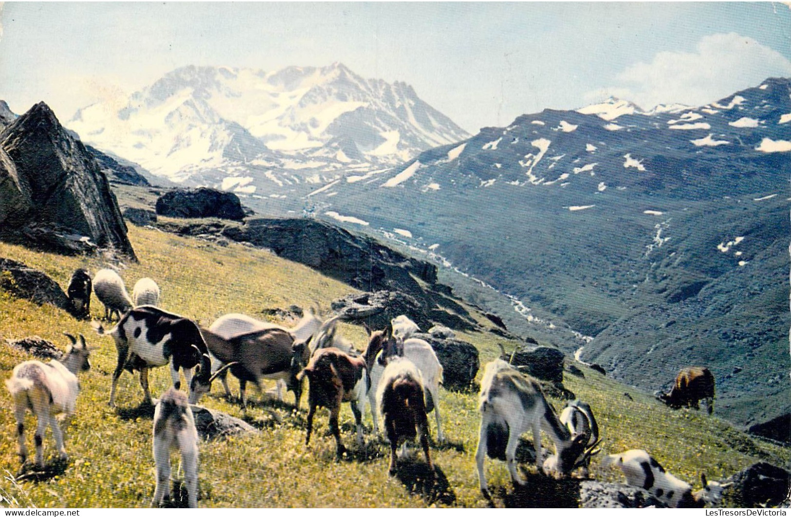 FRANCE - Régions - Les Belles Alpes Françaises - Alpages Aux Lindarets - Carte Postale Ancienne - Andere & Zonder Classificatie