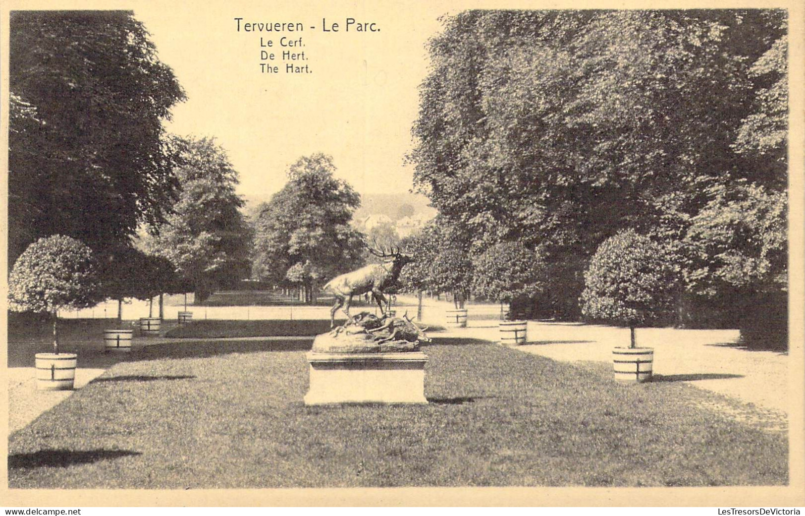 BELGIQUE - Tervueren - Le Parc - Le Cerf - Carte Postale Ancienne - Tervuren