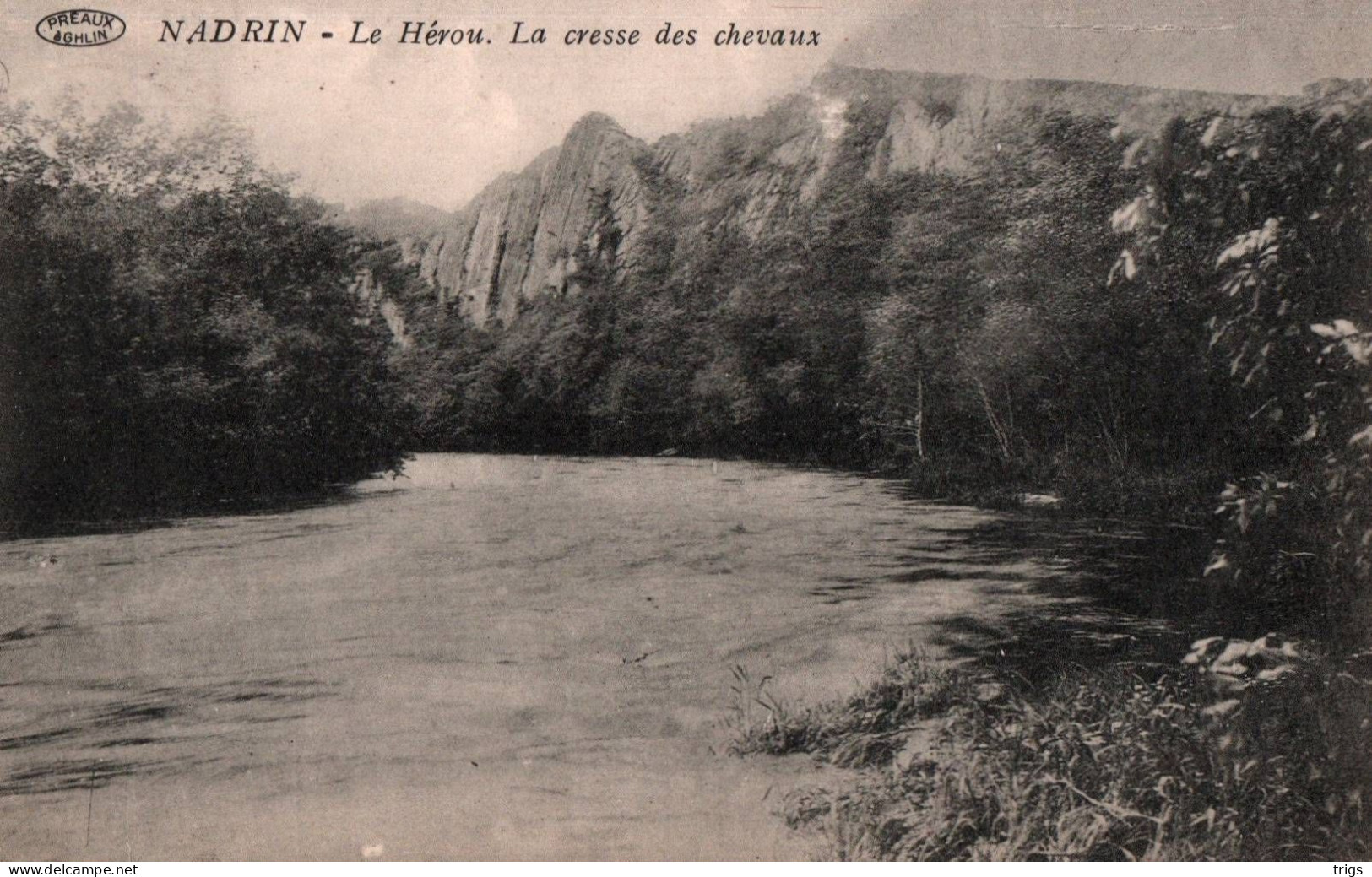 Nandrin - Le Hérou, La Cresse Des Chevaux - Nandrin