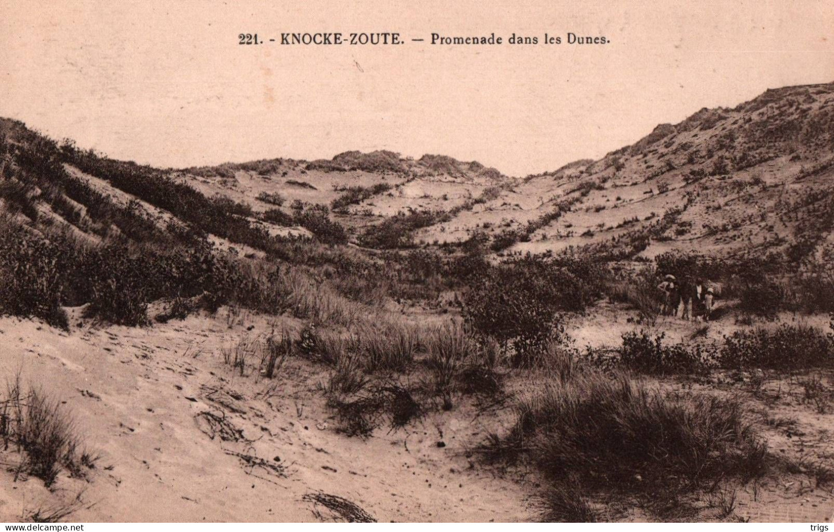 Knocke Zoute - Promenade Dans Les Dunes - Knokke