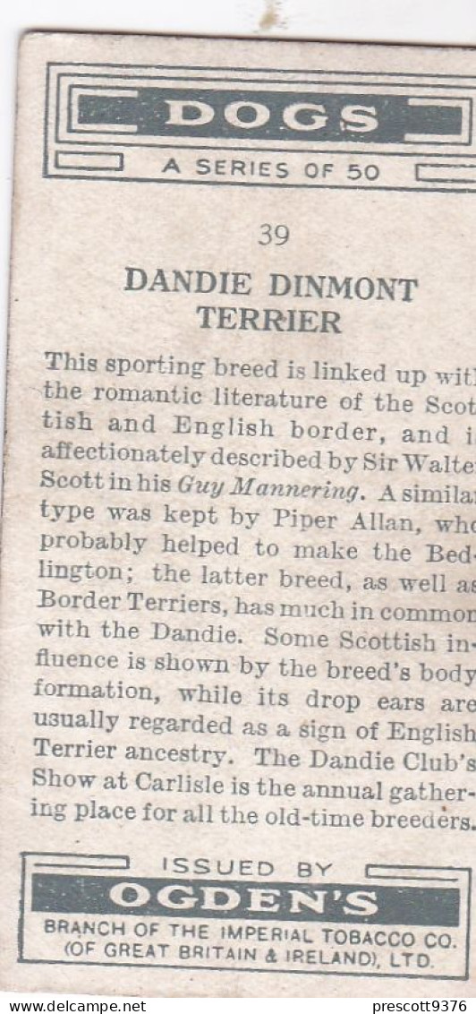 Dogs 1935 - Dandy Dinmont - Ogdens Cigarette Card - - Ogden's