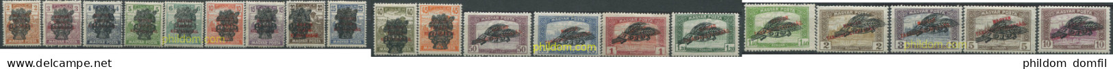 701062 HINGED HUNGRIA 1919 MOTIVOS VARIOS - Unused Stamps
