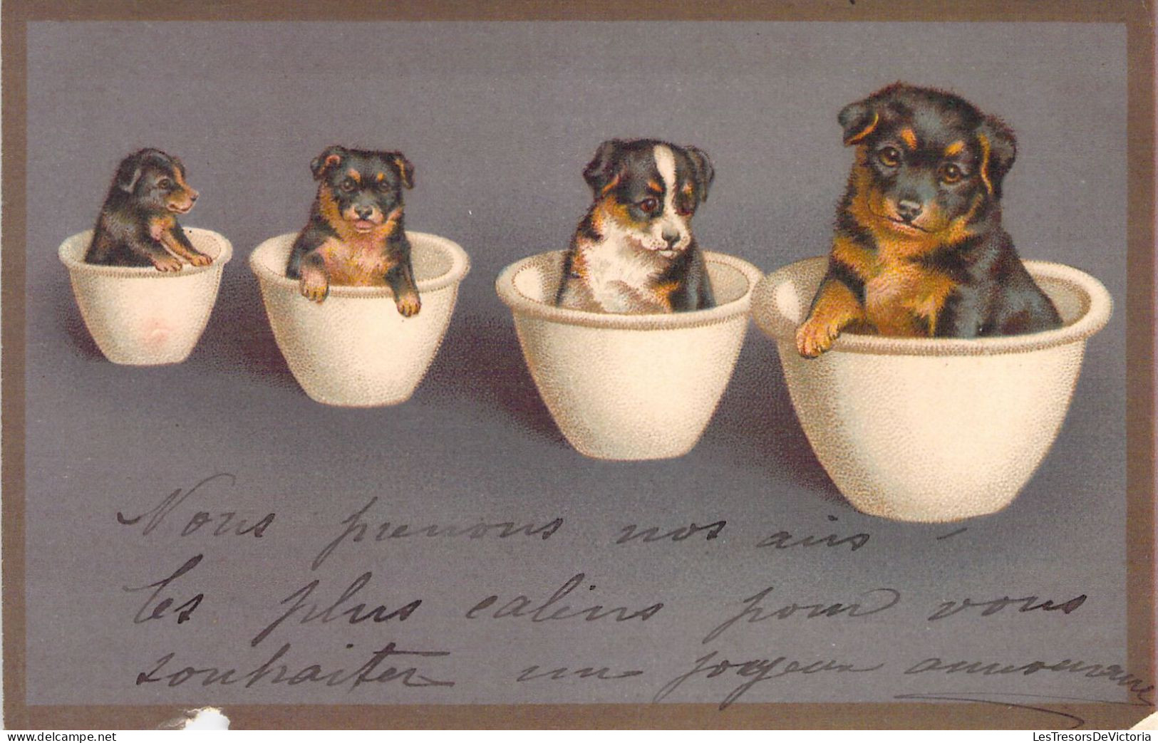 ANIMAUX - Chiots Dans Des Pots - Illustration  -  Carte Postale Ancienne - Honden