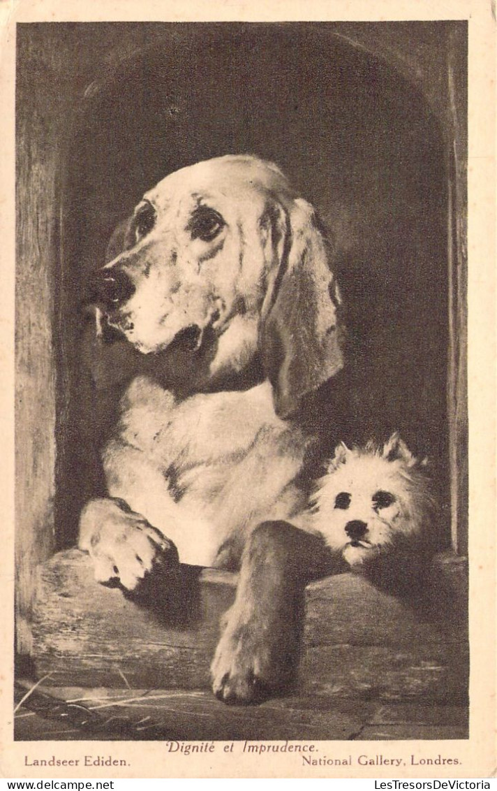 ANIMAUX - CHIENS - Dignité Et Imprudence - Illustration  -  Carte Postale Ancienne - Honden