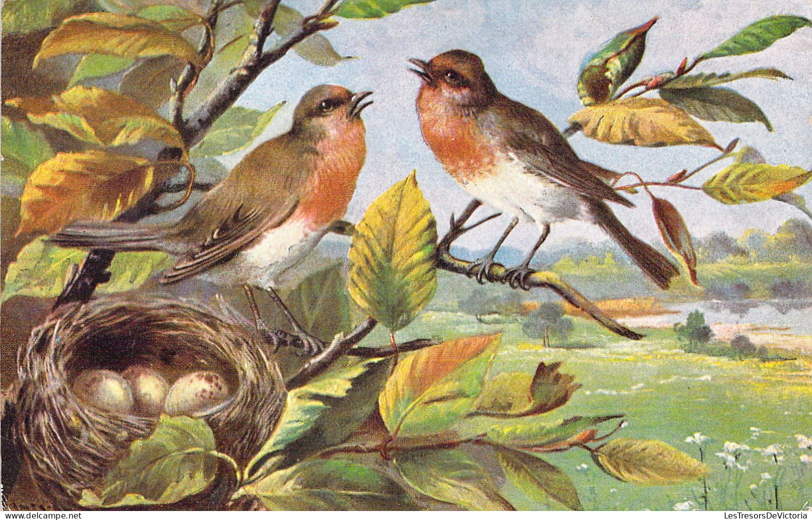 ANIMAUX - OISEAUX - Illustration - Au Bord Du Nid -  Carte Postale Ancienne - Vögel